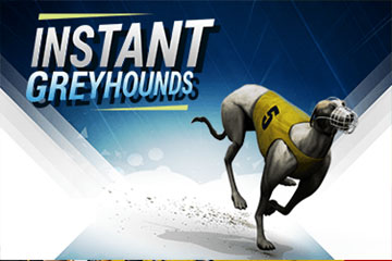 Instant Virtual Greyhounds